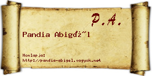 Pandia Abigél névjegykártya